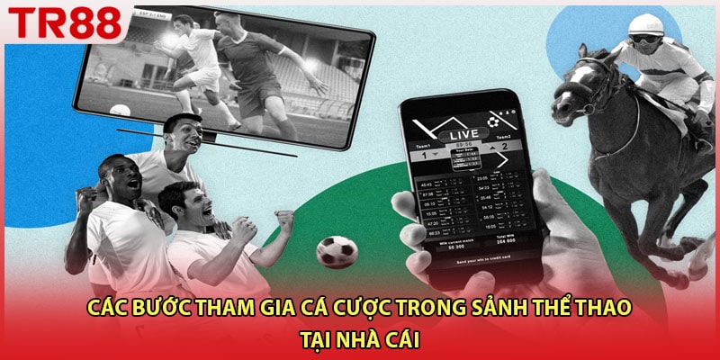 Các bước tham gia cá cược trong sảnh thể thao tại nhà cái