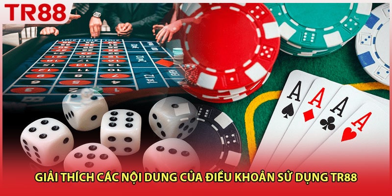 Giải thích các nội dung của điều khoản sử dụng TR88