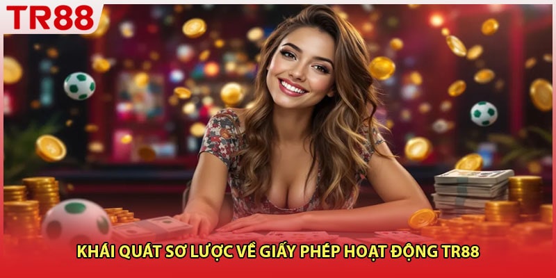 Khái quát sơ lược về giấy phép hoạt động TR88